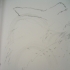 3 islands