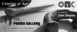 the peedie gallery - coming of age by john shapter